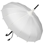 An Edwardian style parasol wedding umbrealla
