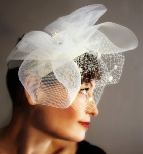 Birdcage veil